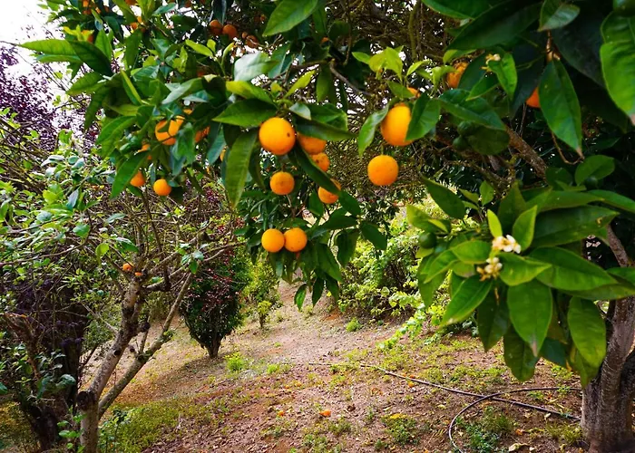 Eco House In Unique Environment 라오로타바