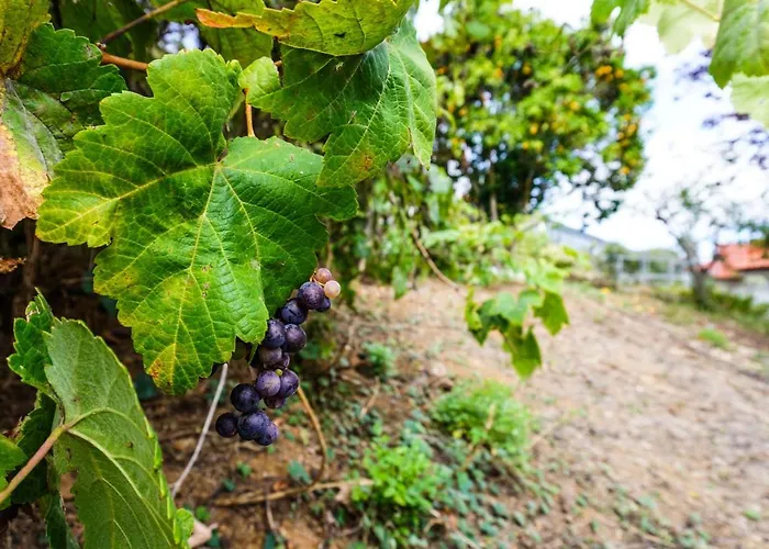 Eco House In Unique Environment