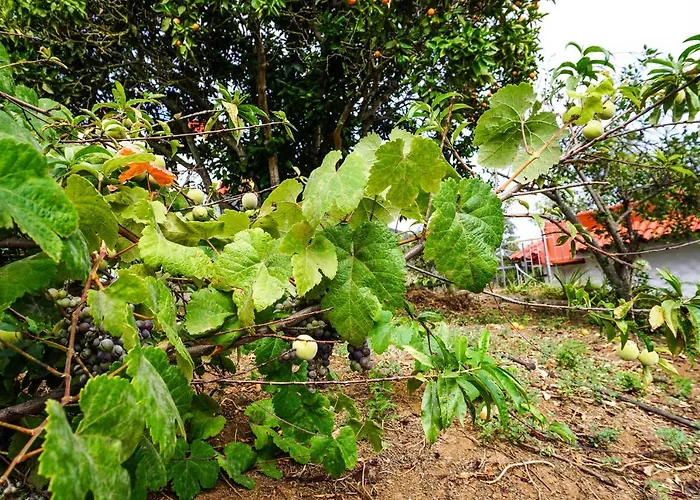 펜션 Eco House In Unique Environment *
