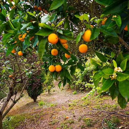 Eco House In Unique Environment לה אורוטבה
