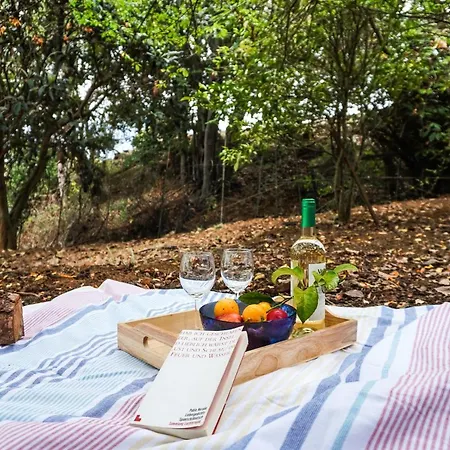 Eco House In Unique Environment