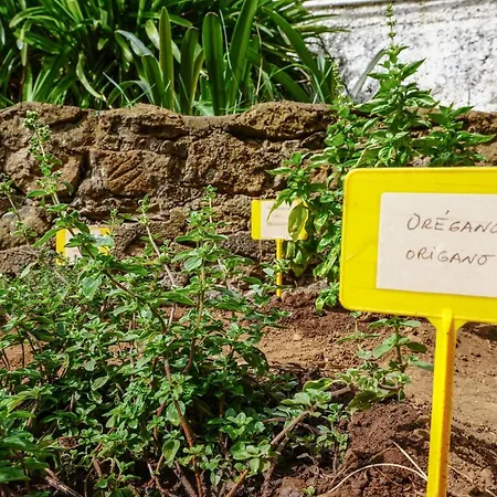 בית נופש Eco House In Unique Environment לה אורוטבה