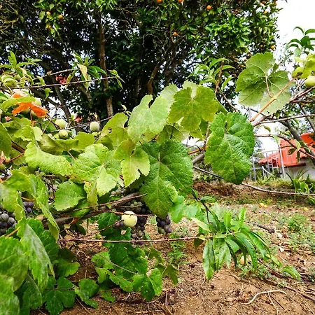 בית נופש Eco House In Unique Environment *