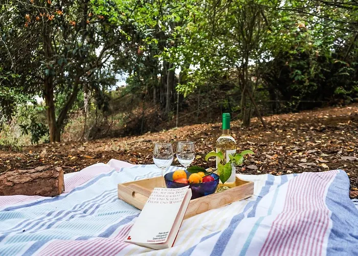 Eco House In Unique Environment