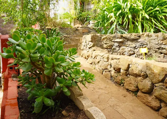 Eco House In Unique Environment Tatil Evi