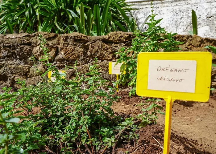 Tatil Evi Eco House In Unique Environment La Orotava